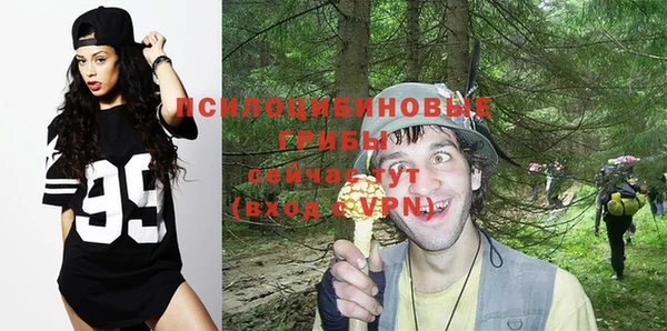 спиды Бронницы