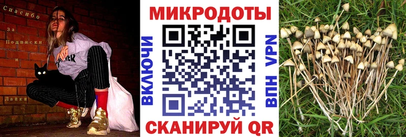 Галлюциногенные грибы прущие грибы  маркетплейс как зайти  Белореченск 